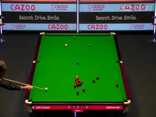 九爷的小玫瑰又野又撩