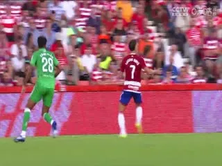 父亲：浴火之路