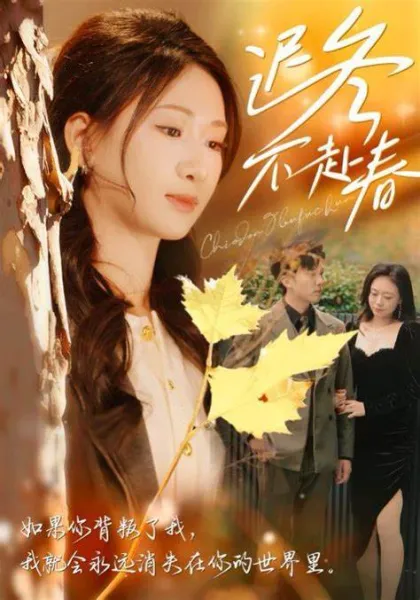 找错夫人爱对妻