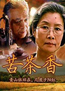 2025年村超 内蒙古呼和浩特市后窑子村足球队2.2广东肇庆金利诚峻足球队2250817