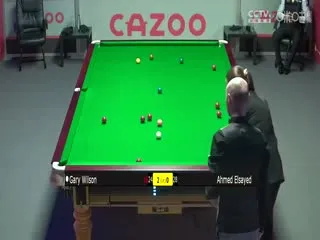 谜棋之挚爱暗语