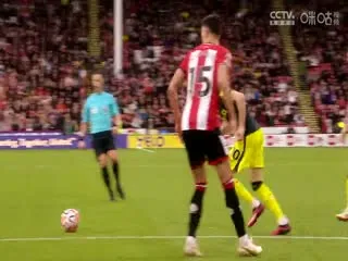 报告我的上司有点甜