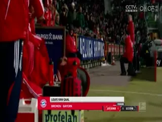 神奇动物在哪里