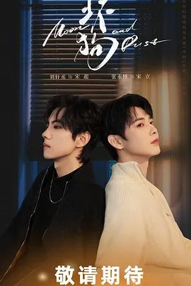 足总杯第三轮：诺维奇VS沃尔索尔20260111