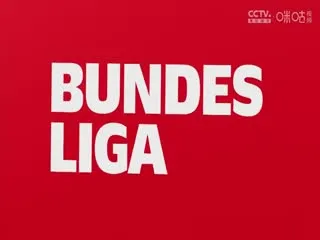 我的劲爆婚礼第一季