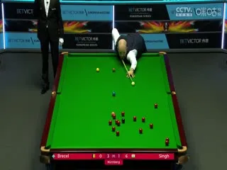 锦鲤小福星她出口成金