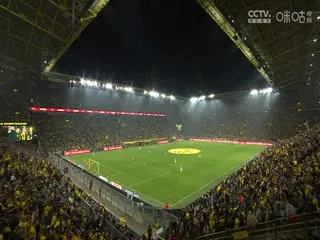 澳大利亚网球公开赛表演赛第五日：辛纳VS阿利亚西姆