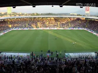 暗恋成婚唯你可医