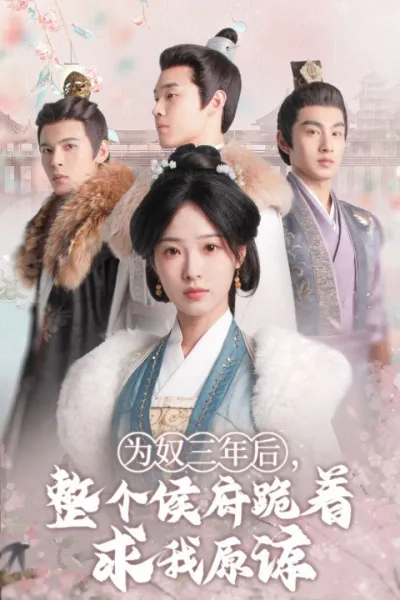 面包和汤和猫咪好天气