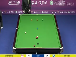 这个保镖太无敌了