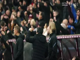 逃往鲜花盛开的春天