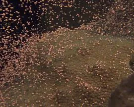 少女大战异世界