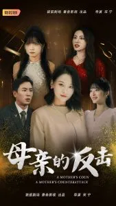 湾畔倾情第五季