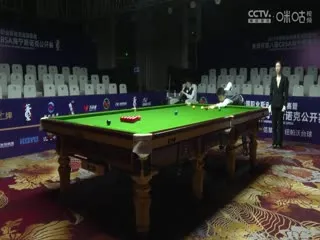 俄罗斯野生老虎