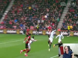 明月何时照惊鸿