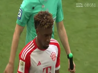 太阳海岸谋杀案