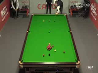 P!NK：我所知道的一切