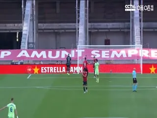 爱上华尔街之狼