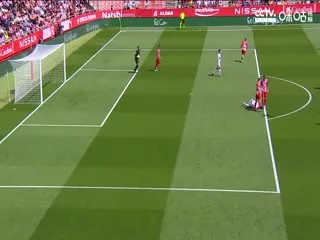 我的身体里住了只凤凰