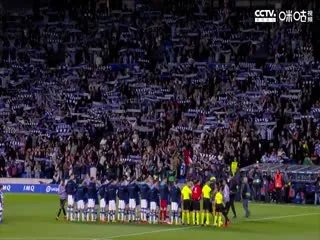 你是我的人间烟火