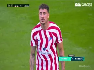 三万英尺的暗恋