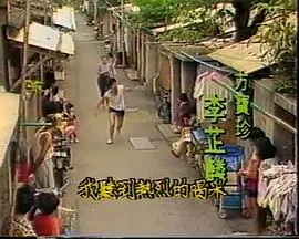 深宅蔷薇猎心计