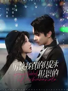 人到中年正当婚